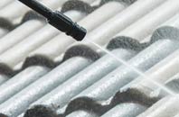 rated Golly roof cleaning companies